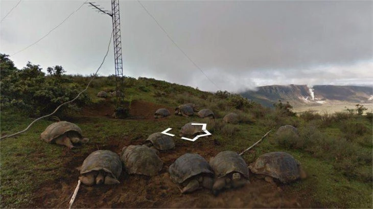 Google Street View