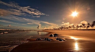 Imagem ilustrativa: 24 melhores praias da Bahia que podem ser visitadas em um final de semana