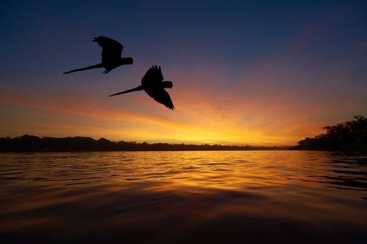 iStock