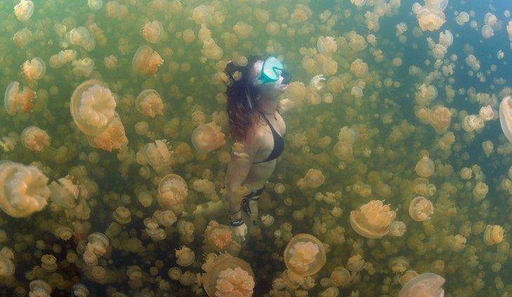 Foto: Divulgação / Snorkel Around The World