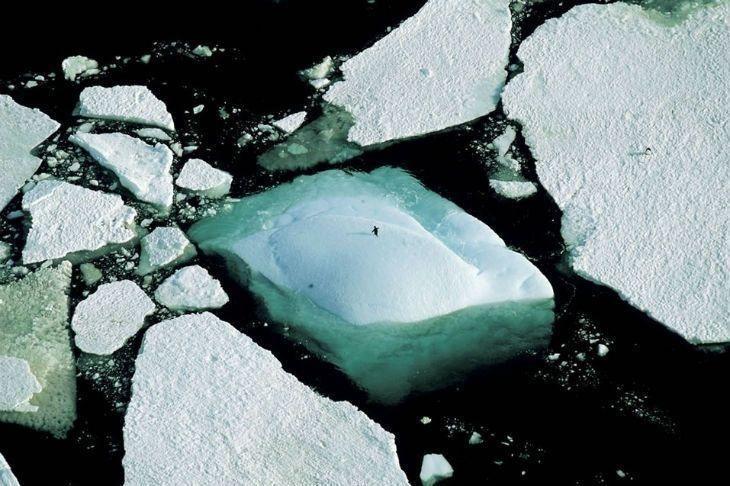 Yann Arthus-Bertrand