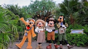 27 curiosidades sobre o Animal Kingdom que todo fã da Disney precisa saber