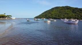 Imagem ilustrativa: 40 passeios turísticos para realizar na Costa da Mata Atlântica em São Paulo