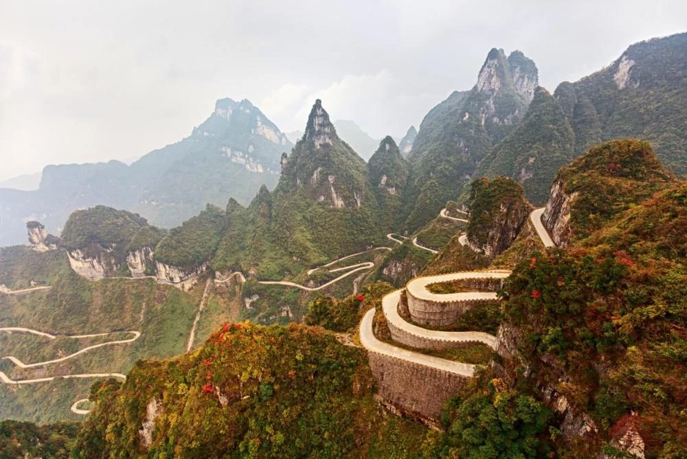 Resultado de imagem para parque florestal nacional zhangjiajie china
