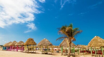 Imagem ilustrativa: 16 melhores pontos turísticos cheios de encanto na Ilha de Marajó