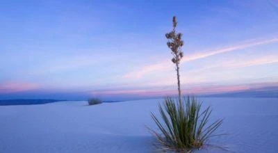 8 imagens e curiosidades sobre o White Sands no Novo México