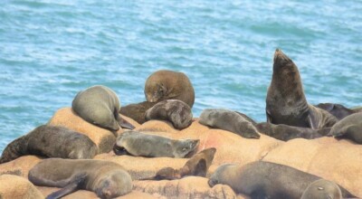 7 motivos para conhecer as belezas de Cabo Polônio