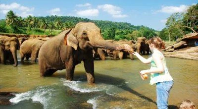 11 motivos para você conhecer o surpreendente Sri Lanka