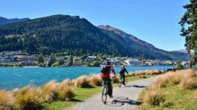Saiba como viajar e trabalhar na Nova Zelândia por um ano