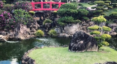 Parque Maeda: conheça este paraíso perfeito para toda a família