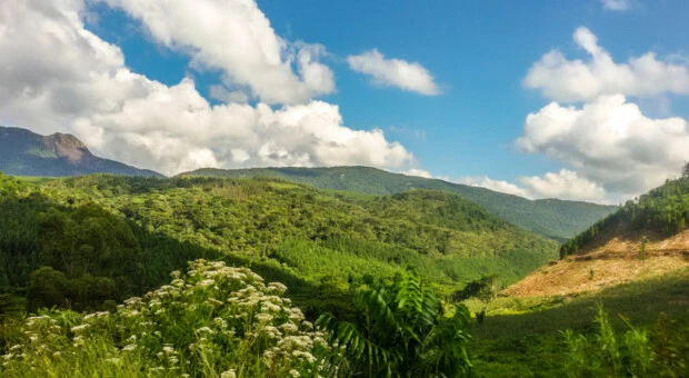 Monte Verde: um guia completo desse aconchegante paraíso em Minas Gerais