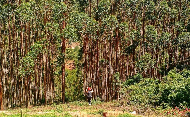 Uma pessoas descendo de tirolesa em Monte Verde