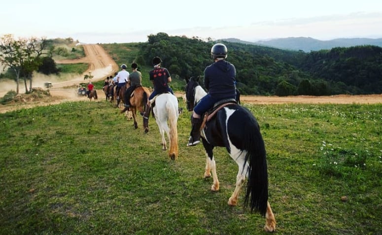 Uma linha de pessoas em cima de cavalos em Monte Verde. Eles estão andando num campo