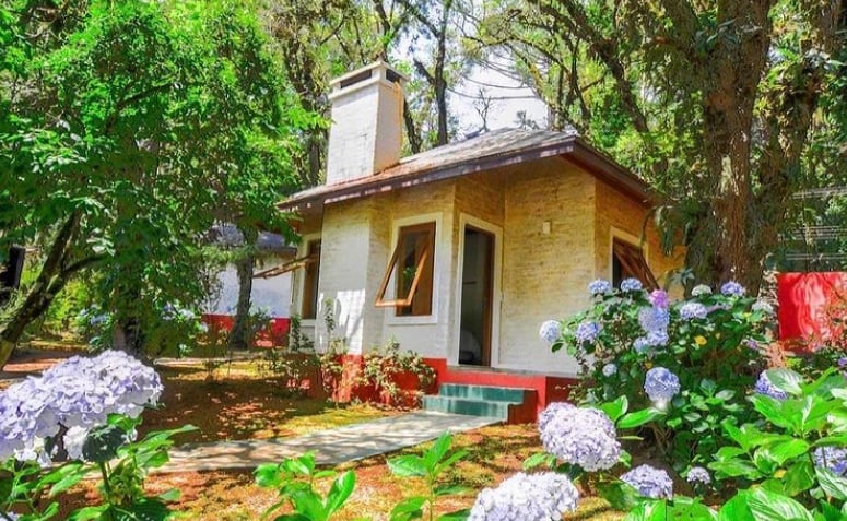 Um chalé em Monte verde. Em volta há muitas flores