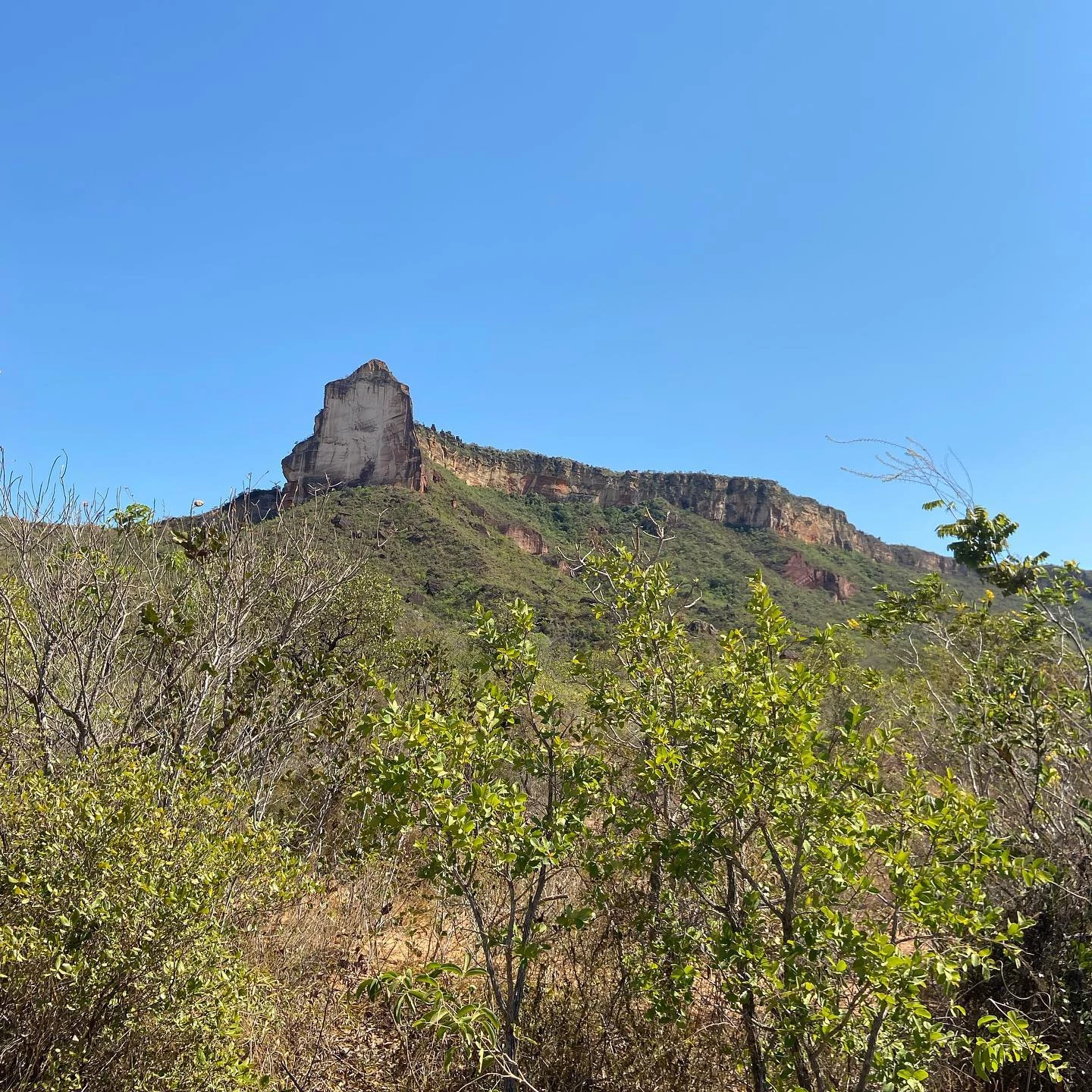 Morro da Catedral cercado pela vegetação do Cerrado