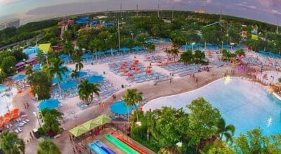 Conheça o  Aquatica, um dos principais parques aquáticos de Orlando