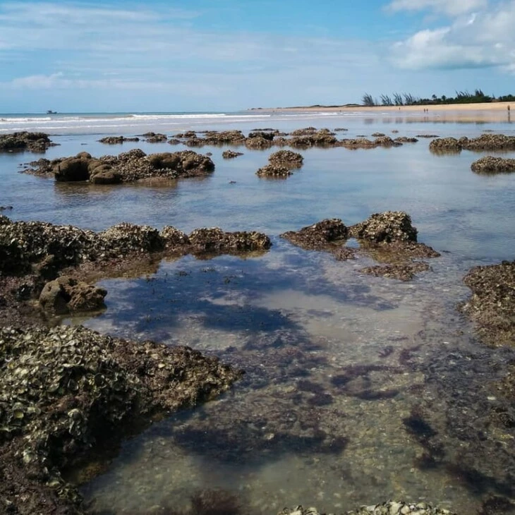 São Miguel do Gostoso 30 motivos para conhecer esse paraíso São Miguel do Gostoso 30 motivos para conhecer esse paraíso