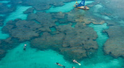 Porto de Galinhas: 10 praias paradisíacas para conhecer