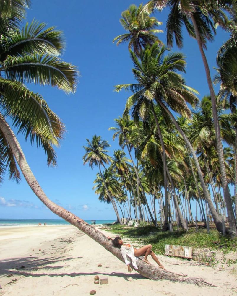 Porto de Galinhas 8 praias paradisíacas que você precisa conhecer Porto de Galinhas 8 praias paradisíacas que você precisa conhecer