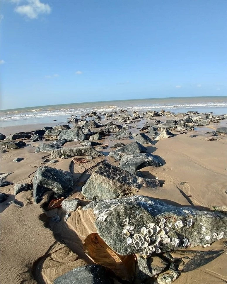 15 praias de João Pessoa que merecem sua visita (50 FOTOS)