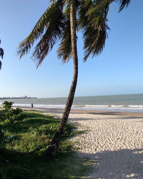 15 praias de João Pessoa que merecem sua visita (50 FOTOS)