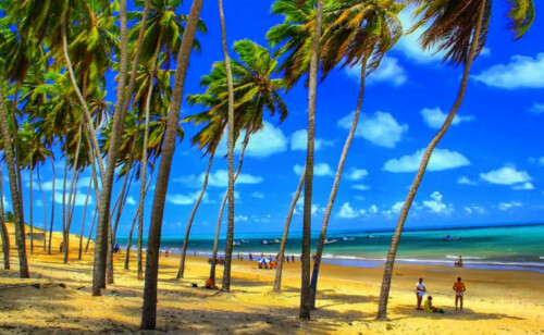 15 praias de João Pessoa que merecem sua visita (50 FOTOS)
