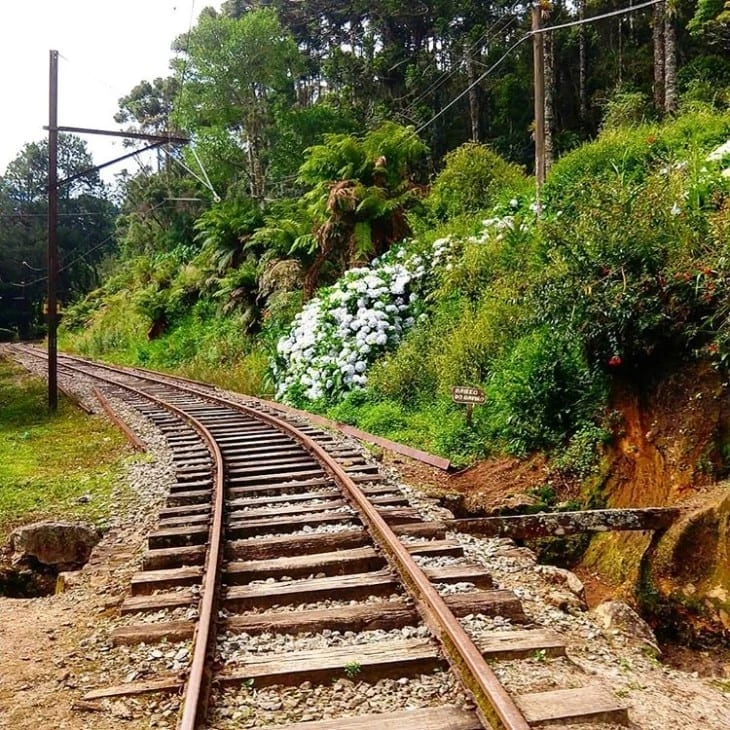 10 pontos turísticos de Campos do Jordão que vão te surpreender