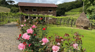 Imagem ilustrativa: Caminhos de Pedra: tradição italiana e muita cultura em Bento Gonçalves