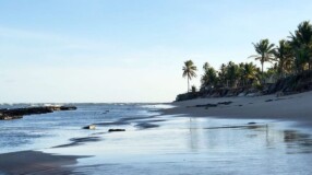 Imagem ilustrativa: Itacimirim: por que incluir essa praia do litoral norte baiano no seu roteiro?