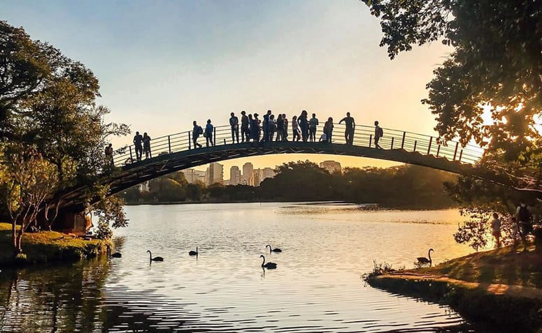 O que fazer em SP: 50 programas para se divertir na capital