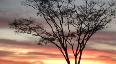 Porto Rico: surpreenda-se com as praias de água doce do Paraná