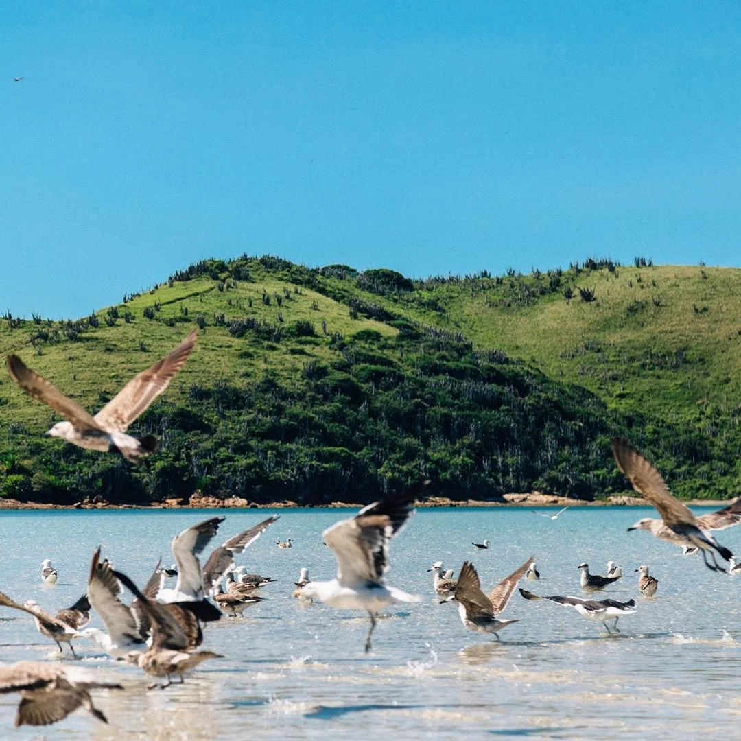Praia do Peró: dicas para curtir este belo atrativo de Cabo Frio (RJ)