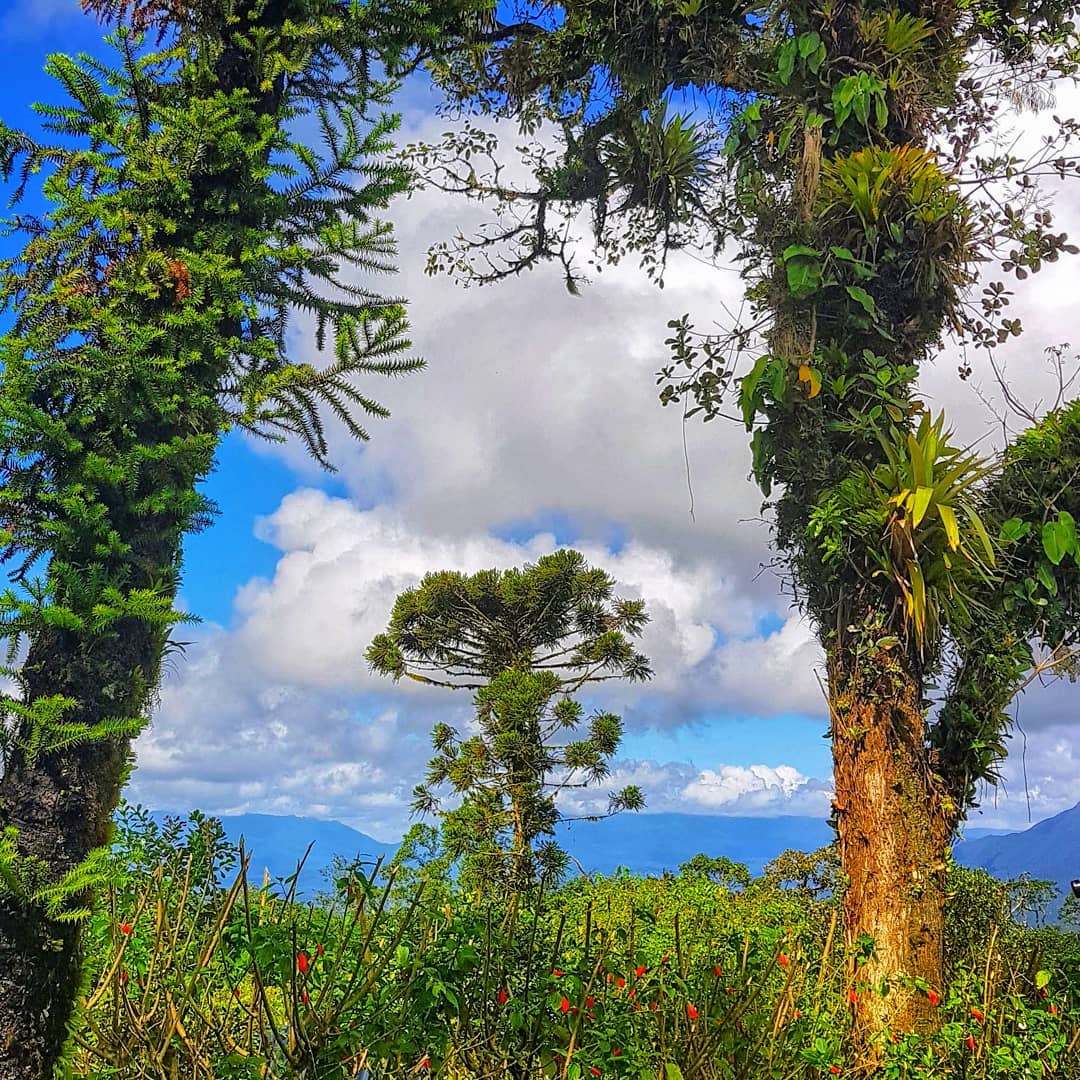 Estrada da Graciosa dicas para viajar pela rodovia mais bela do Paraná