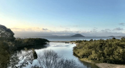 Ilha do Cardoso: o paraíso ecológico na divisa entre São Paulo e Paraná