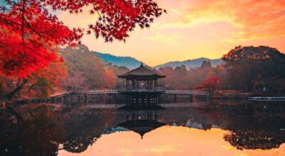 Nara: toda a tradição e magia da primeira capital do Japão