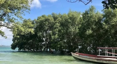 Ilha de Maré: descubra as praias e belezas naturais na Bahia