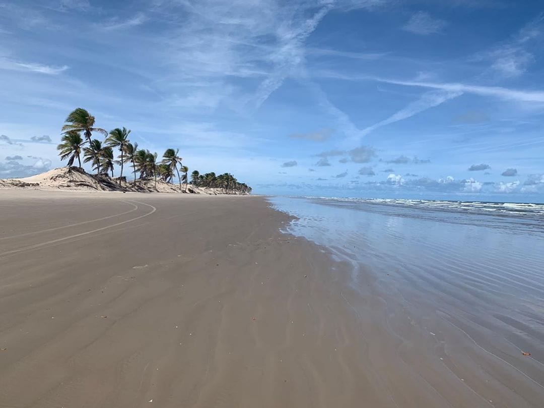 Passeio Mangue Seco - Na Bahia, Tem!
