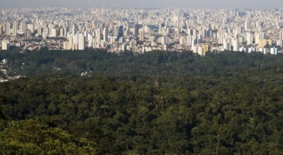 Serra da Cantareira: visite a maior floresta urbana do mundo