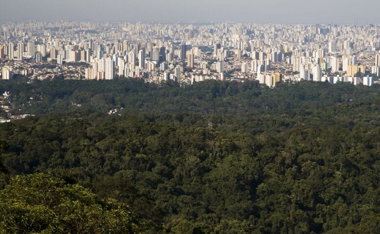 Restaurantes que você deve conhecer na Serra da Cantareira