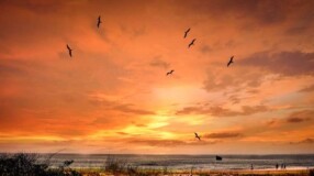 Imagem ilustrativa: Praias de Guaratuba: 10 orlas que não podem faltar em seu roteiro