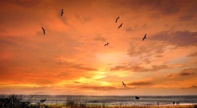 Imagem ilustrativa: Praias de Guaratuba: 10 orlas que não podem faltar em seu roteiro