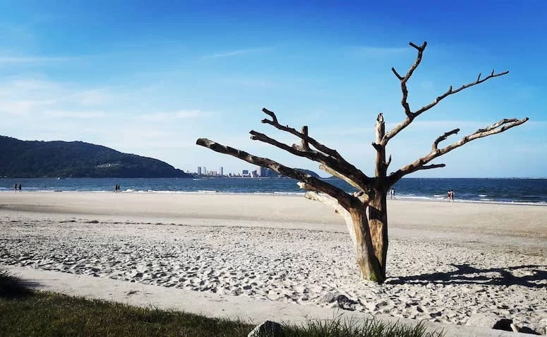 Praias de Guaratuba 10 melhores orlas da cidade paranaense