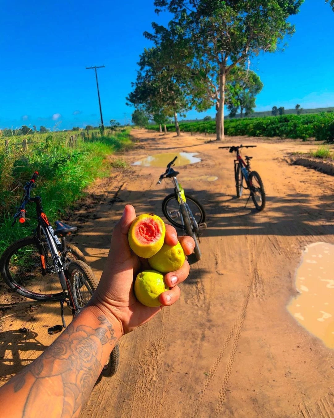 Mucuri conheça as praias mais belas do litoral sul da Bahia