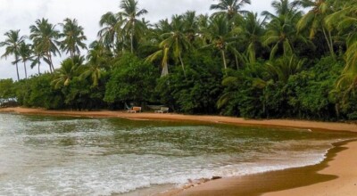 Imagem ilustrativa: Taipu de Fora: conheça as piscinas naturais desse destino incrível