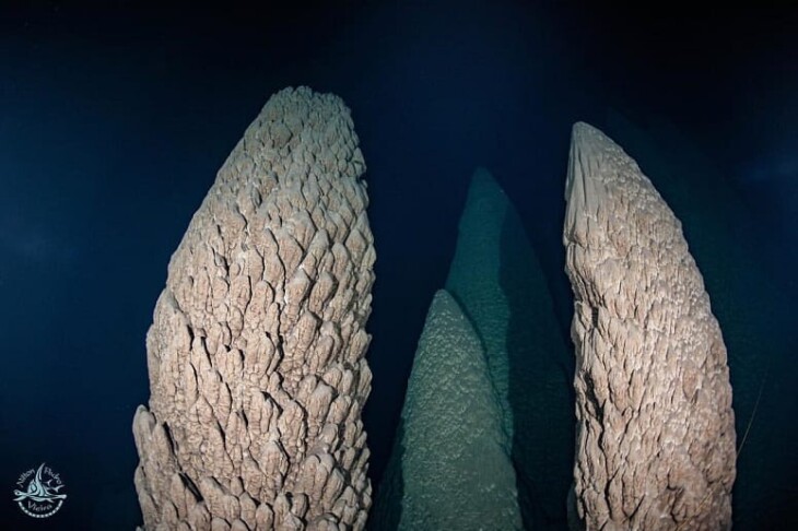 Abismo Anhumas aventurese nessa atração inesquecível de Bonito