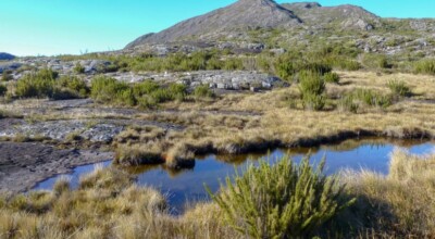 Imagem ilustrativa: Alto Caparaó: o melhor lugar para o ecoturismo em Minas Gerais