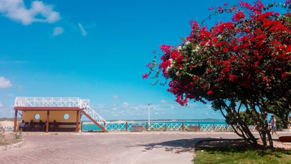 Baía Formosa: praias, natureza e muita beleza no litoral do RN