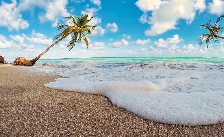 Praia de Antunes: saiba como aproveitar essa orla INCRÍVEL de Maragogi