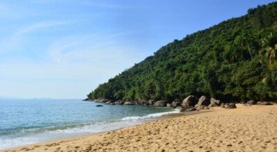 Praia do Cedro: apaixone-se pela natureza selvagem de Ubatuba