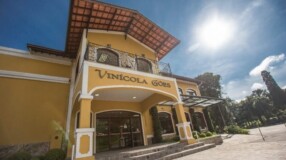 Imagem ilustrativa: São Roque (SP): um guia completo para curtir a cidade do vinho